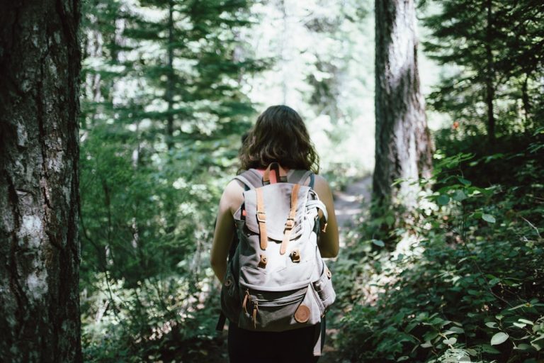 Discover the Uncharted Trails: A Hiker’s Journey Through Lesser-Known Paths