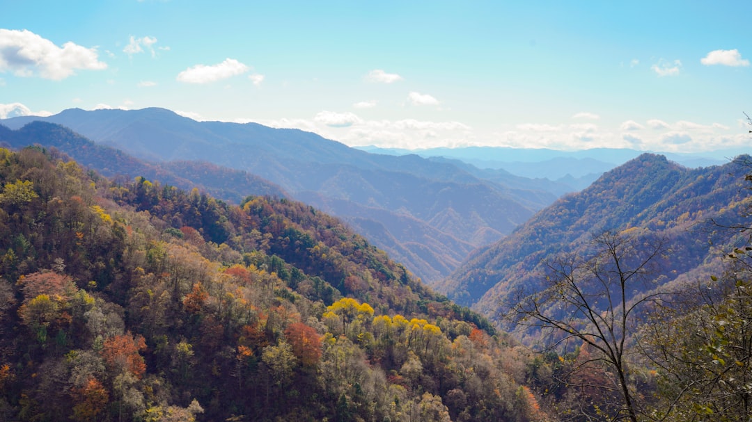From City Streets to Mountain Peaks: An Inspiring Tale of Finding Solitude in the Wild